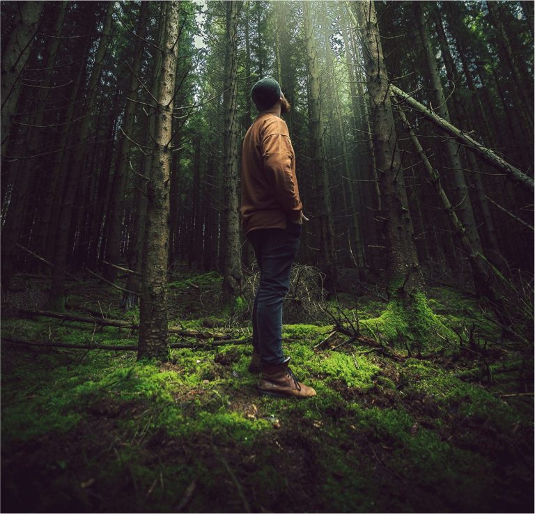 Bikenta, Bioeconomía y gestión forestal